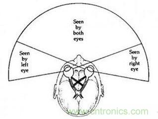 雙目重疊技術(shù)在VR中有什么作用？