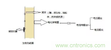 仿生傳感器的定義、原理、分類及應(yīng)用