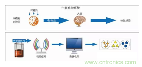 仿生傳感器的定義、原理、分類及應(yīng)用