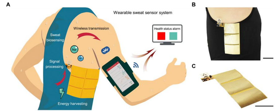 新型多功能柔性可穿戴式傳感器守護(hù)健康