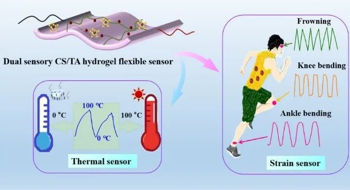 新型多功能柔性可穿戴式傳感器守護(hù)健康