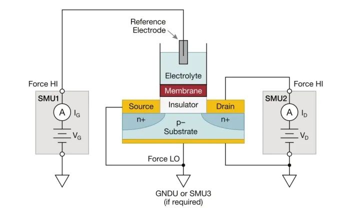 FET 生物傳感器的直流I-V 特性研究